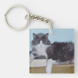 Meow Cats 9 Square Acrylic Keychain