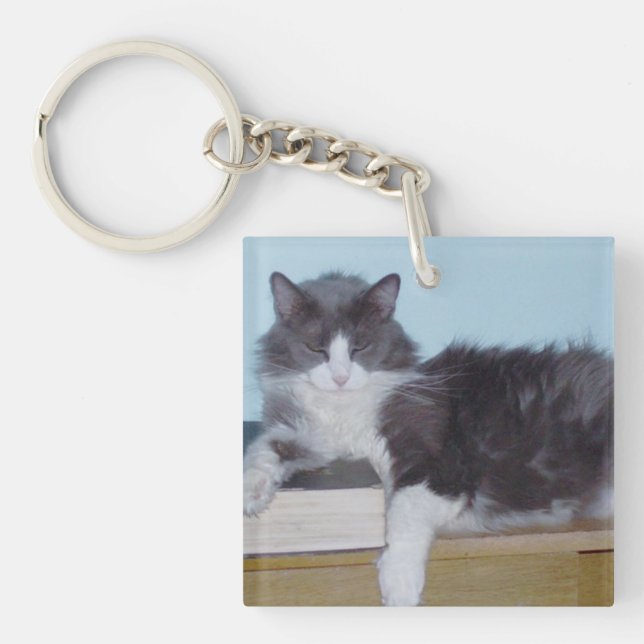 Meow Cats 9 Square Acrylic Keychain (Front)