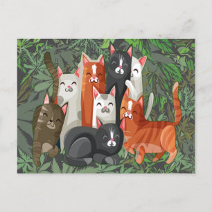 Meow Gang  Postcard