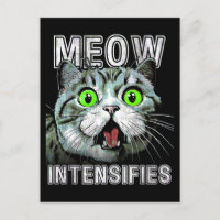 Meow Intensifies Funny Scottish Fold Cat