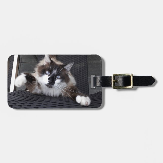 Meow! - luggage tag (Front Horizontal)