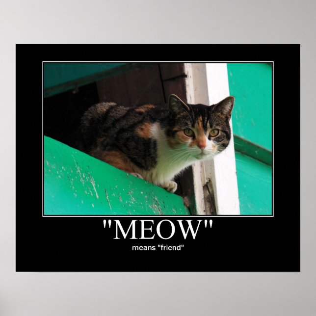 Meow Means Friend Cat Artwork Poster (Front)