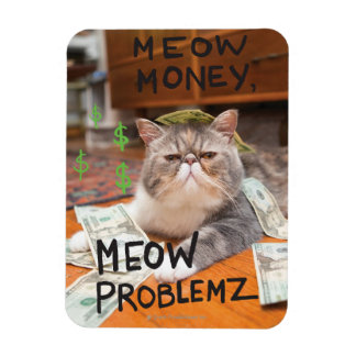 Meow Money, Meow Problemz Magnet