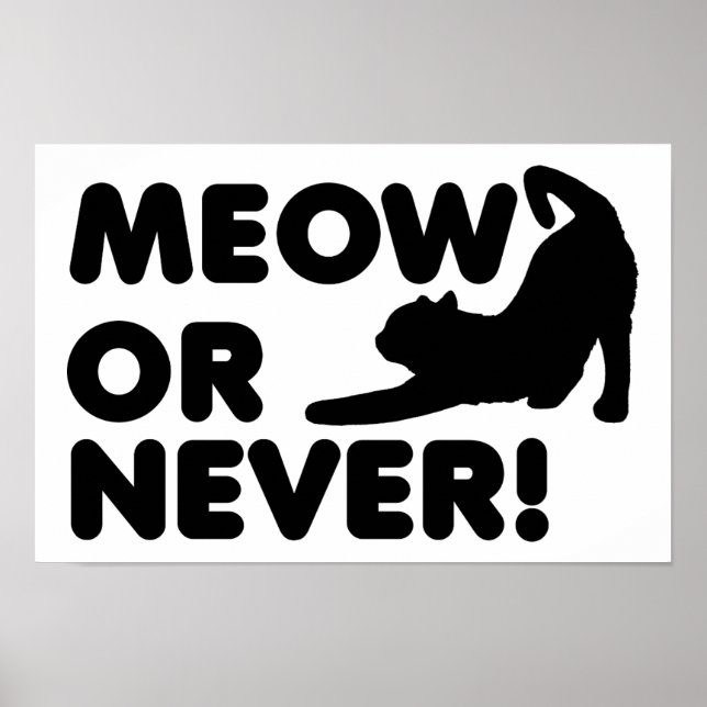 Meow or Never Funny Poster (Front)