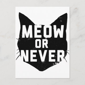 Meow or Never Postcard