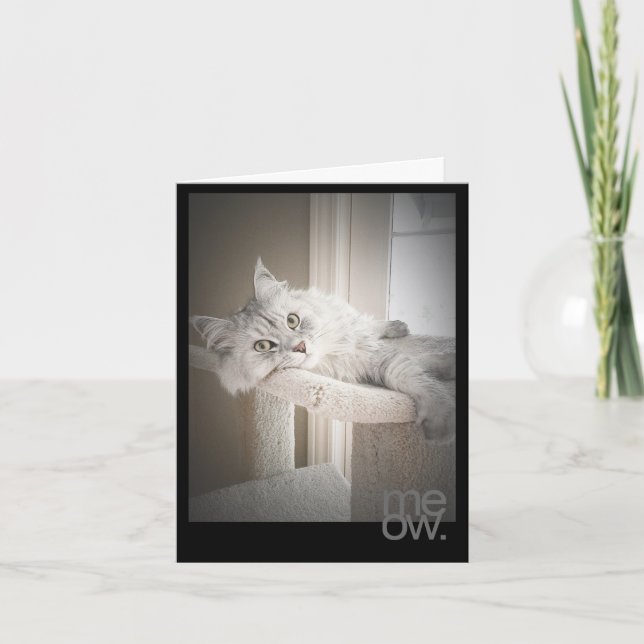 Meow Translated Original Birthday Card (Front)