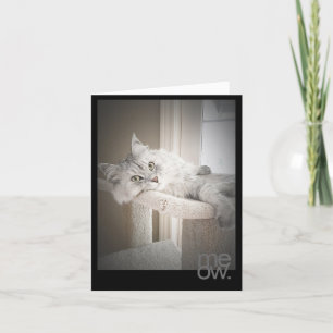 Meow Translated Original Birthday Card