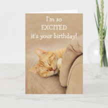 Meow-Velous From The Cat Birthday Card