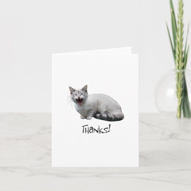 Meowing Cat Thanks Thank You Card (Front)