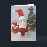 MEOWry Christmas! Holiday Card<br><div class="desc">I finally found Bubba Kitty a little Santa suit.  The funny message on this card is "MEOWry Christmas!"   You can customise.  Hope you get a kick out of it!</div>