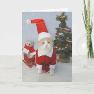 MEOWry Christmas! Holiday Card