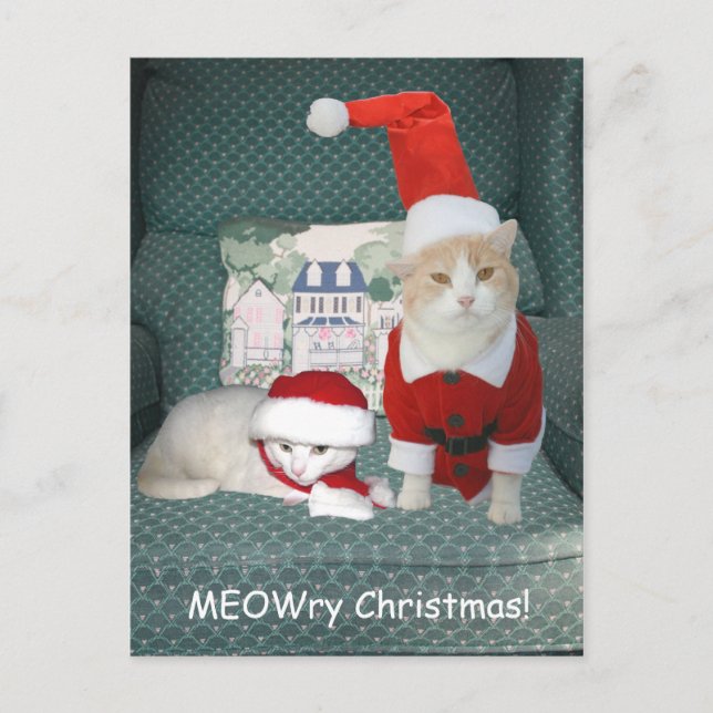 MEOWry Christmas! Holiday Postcard (Front)