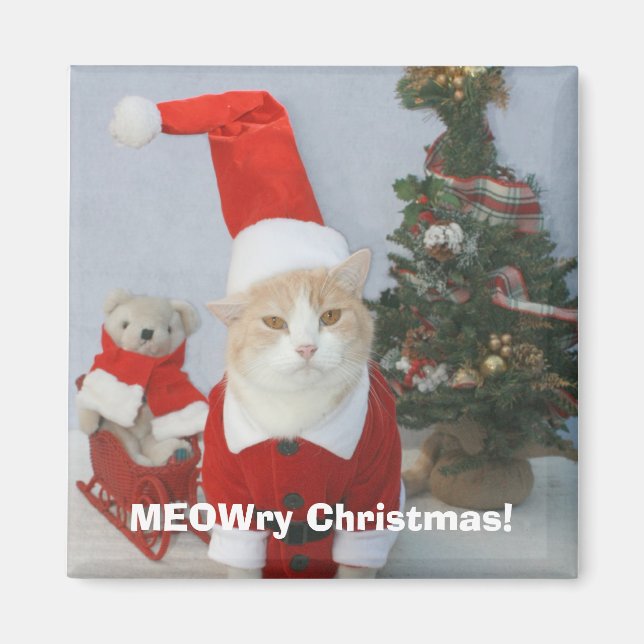 MEOWry Christmas! Magnet (Front)