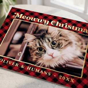 Meowwy Christmas Buffalo Plaid Cat Photo Funny Foil Holiday Postcard