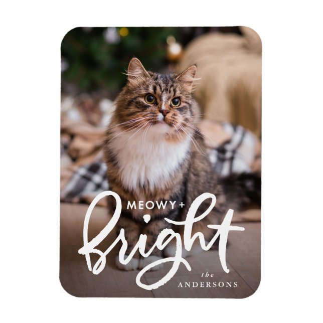Meowy and Bright Cat Photo Magnet (Vertical)