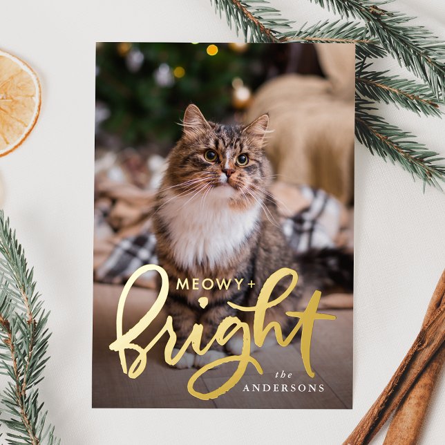 Meowy and Bright Script Cat Photo Foil Holiday Card (Creator Uploaded)