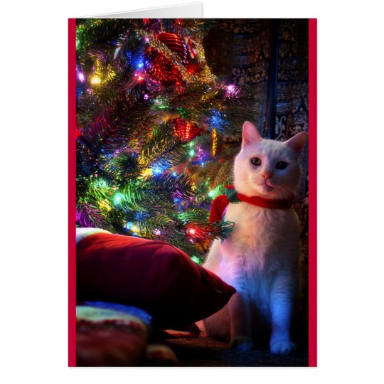Meowy Catmas Greeting Card