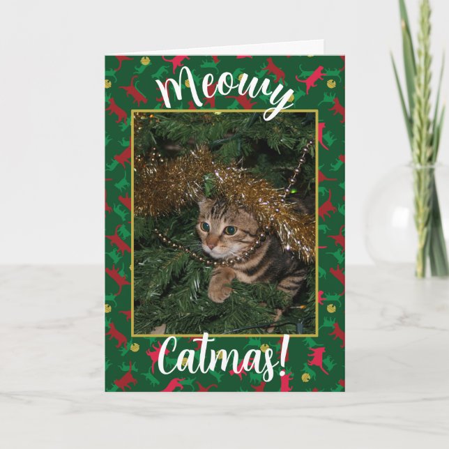 Meowy Catmas - Red Green Christmas Cat Pattern Holiday Card (Front)