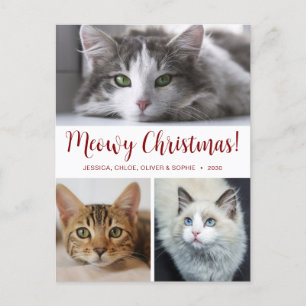 Meowy Christmas 3 Photo Holiday Postcard