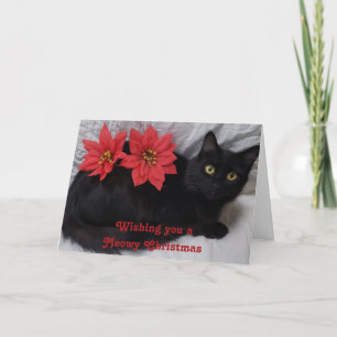 Meowy Christmas Black Cat Red Poinsettias Photo Card