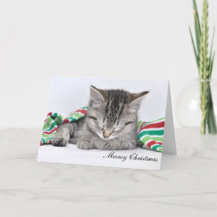 Meowy Christmas card