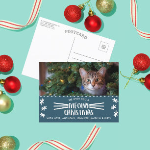 Meowy Christmas   Cat Holiday Photo