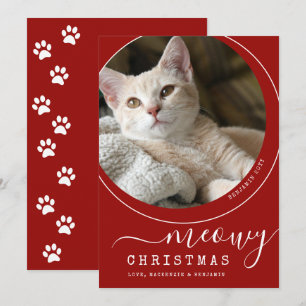 Meowy Christmas Cat Kitten Photo Red and White