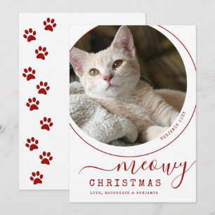 Meowy Christmas Cat Kitten Photo White