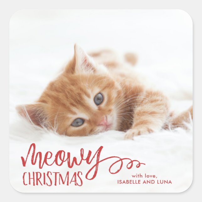 Meowy Christmas Cat Pet Holiday Sticker (Front)