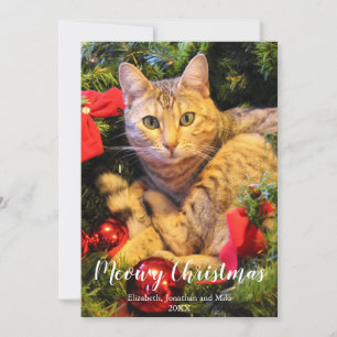 Meowy Christmas Cat Photo Christmas Holiday Card