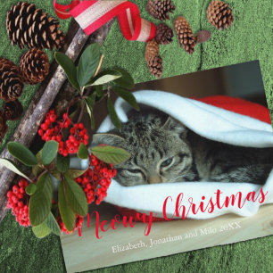 Meowy Christmas Cat Photo Christmas Holiday Postcard