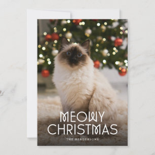 Meowy Christmas Cat Photo  Holiday Card