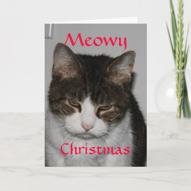 Meowy Christmas - Cat's Holiday Greeting Card (Front)