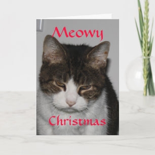 Meowy Christmas - Cat's Holiday Greeting Card
