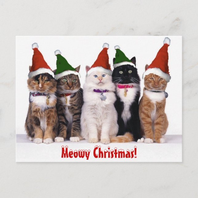 "Meowy Christmas!" Cats Holiday Postcard (Front)
