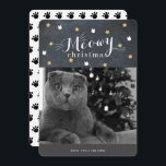 Meowy Christmas Chalkboard Photo Holiday Card<br><div class="desc">This cute "meowy christmas" christmas holiday card features your photo and patterns of faux gold stars and white cat face on a black chalkboard background. The reverse side features a white background with cat's paw print patterns. Personalise for your needs. You can find more matching products at my store.</div>