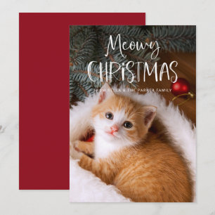 Meowy Christmas   Cute Funny Pet Cat Photo Holiday Card