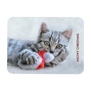 Meowy Christmas Cute Grey Tabby Cat Magnet