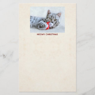 Meowy Christmas Cute Grey Tabby Cat Stationery