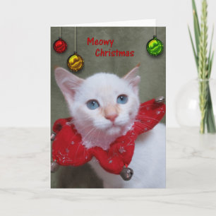 Meowy Christmas - Flame Point Siamese Holiday Card
