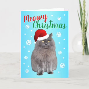 Meowy Christmas from the Cat Holiday Card