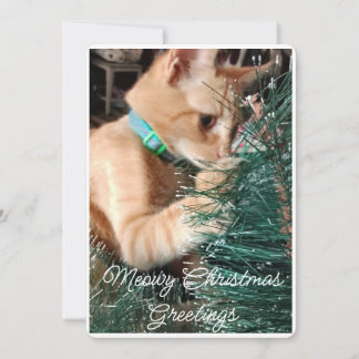 Meowy Christmas Greetings, Photo And Text, Custom Holiday Card