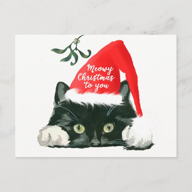 meowy christmas holiday cat santa hat postcard (Front)