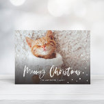 Meowy Christmas Snow Cat | Pet Photo Holiday Card<br><div class="desc">Celebrate the holiday season with this chic holiday card featuring modern script that says "Meowy Christmas"  and snowfall.</div>