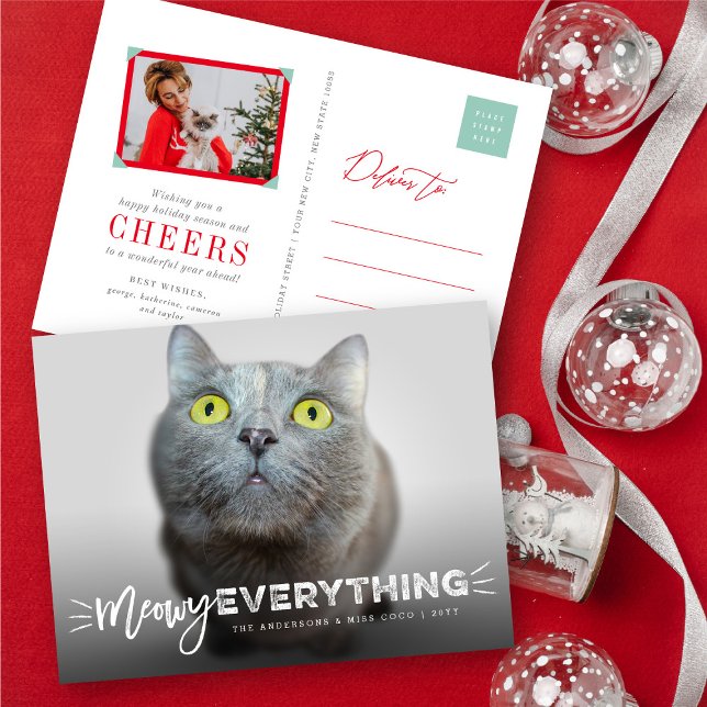 Meowy Everything Whiskers Cat Lover Cute Photo Pet Holiday Postcard (Creator Uploaded)