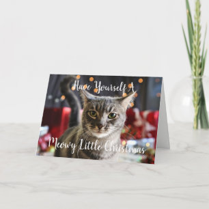 Meowy Little Christmas Greeting Card