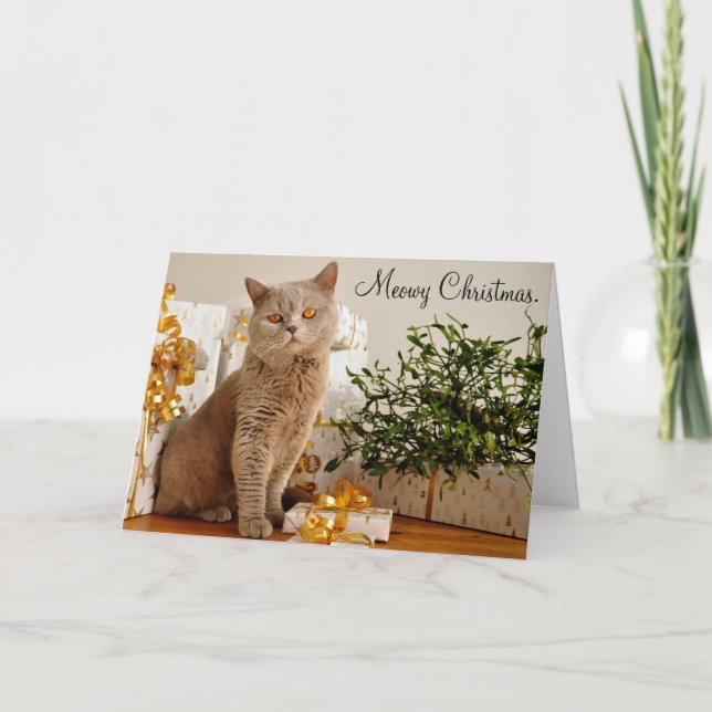 Meowy Merry Christmas Cat Greeting Card (Front)