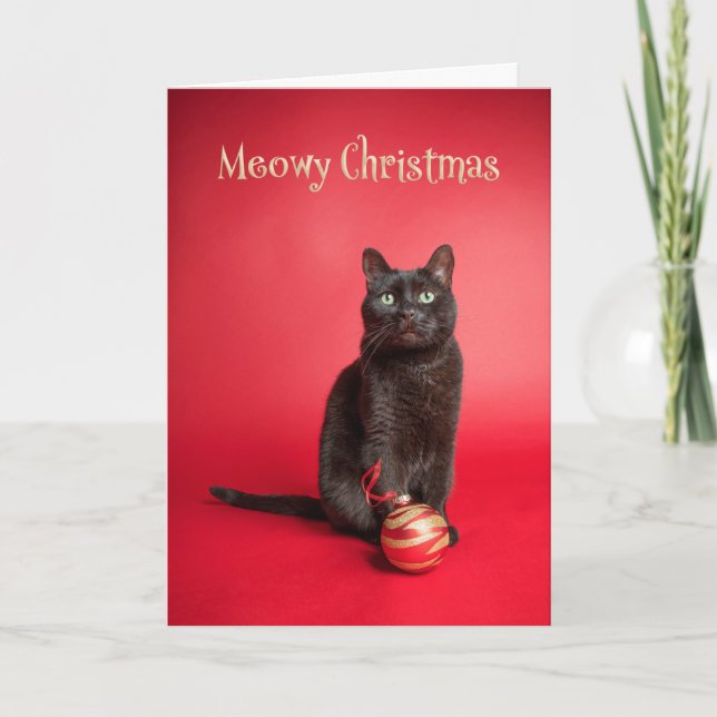 Meowy (Merry) Christmas Cat With Ornament Humour Holiday Card (Front)