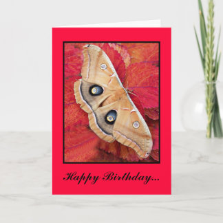 MePrintPolyPhemusa, Happy Birthday... - Customised Card