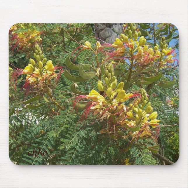 Merak Mouse Mat (Front)